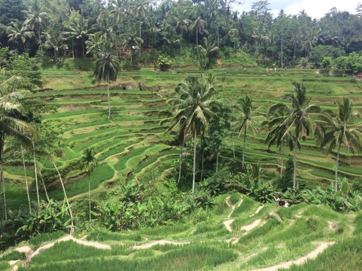 Bali in 3 Wochen: Route &&nbsp;Tipps!